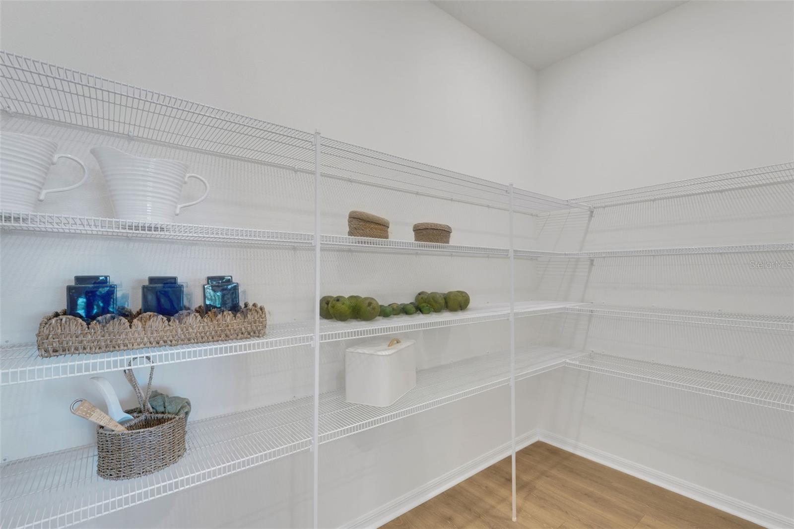 17078 SQUIRREL BRANCH LN, ALVA, FL — photo 10