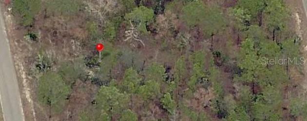 23 FISHER LANE TER, OCKLAWAHA, FL
