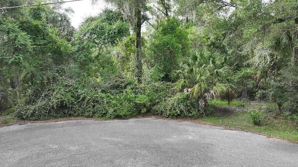 18731 SW 79TH PL, DUNNELLON, FL — photo 2