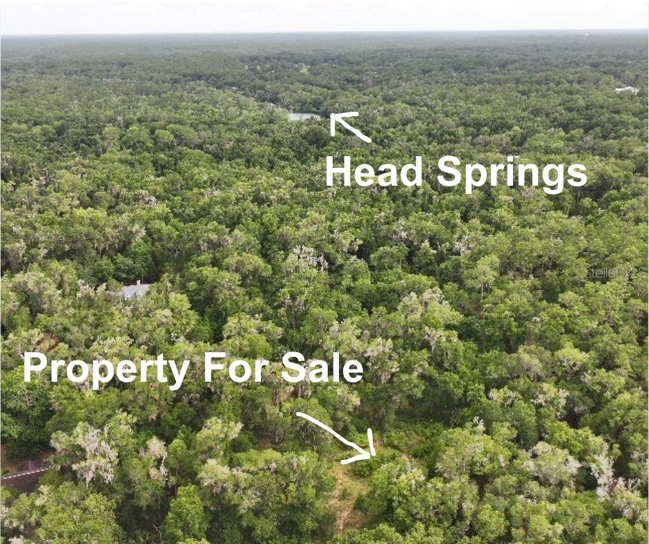 18731 SW 79TH PL, DUNNELLON, FL — photo 4