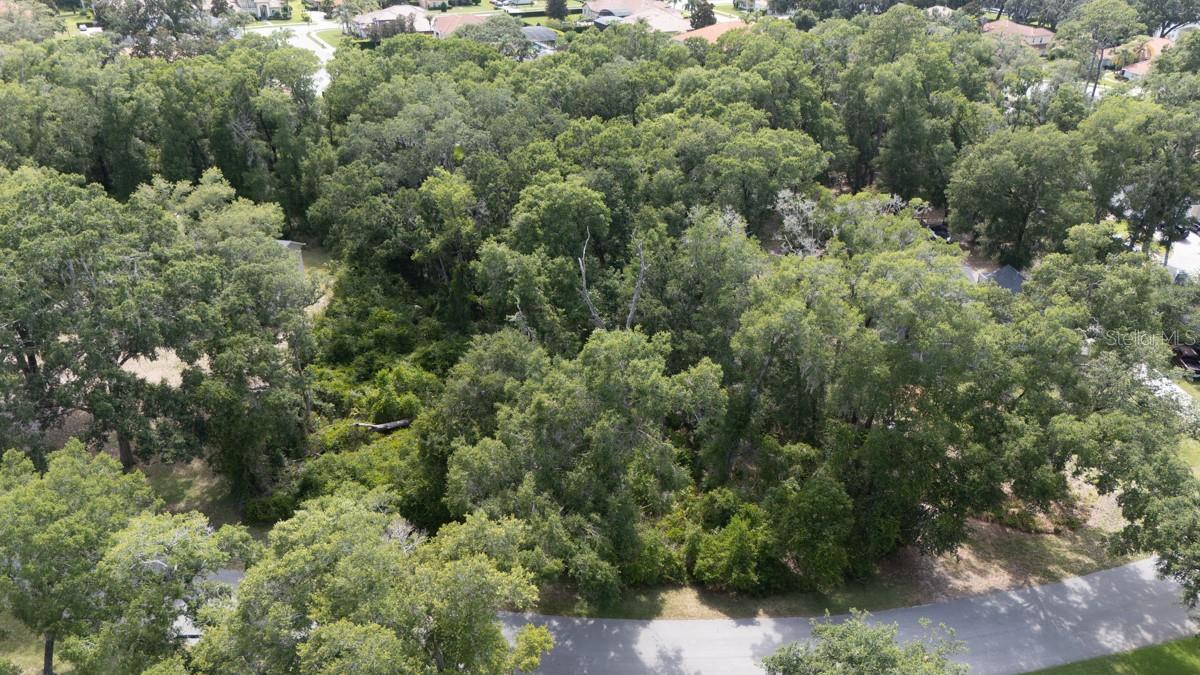 160 STEEPLECHASE CIR, SANFORD, FL — photo 5
