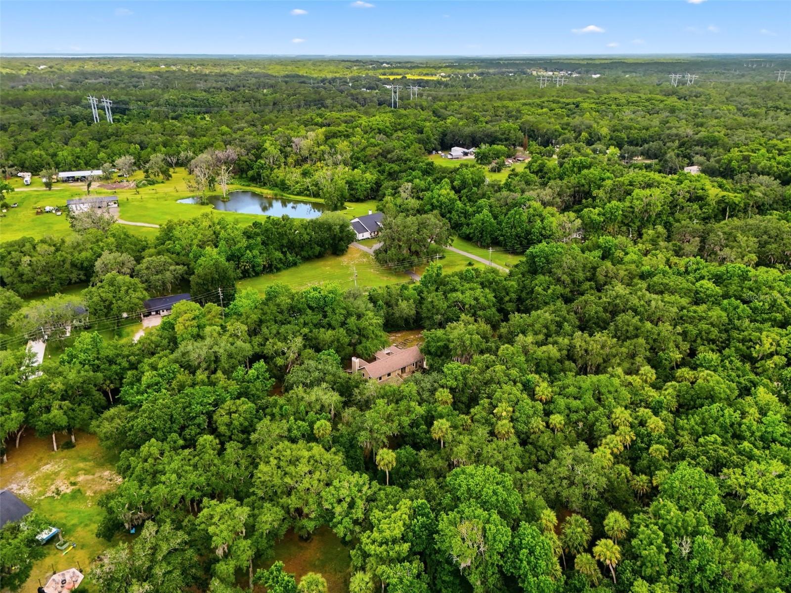 381 N JUNGLE RD, GENEVA, FL — photo 51