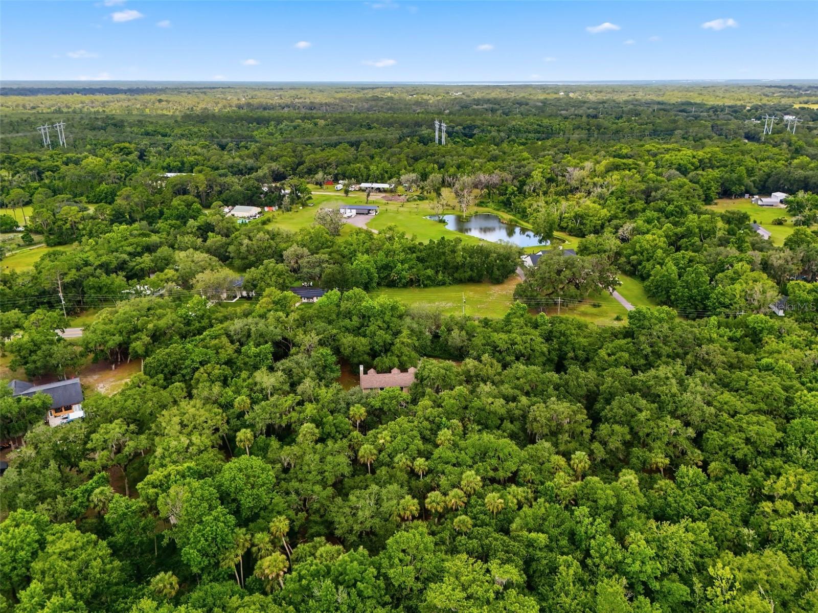 381 N JUNGLE RD, GENEVA, FL — photo 52