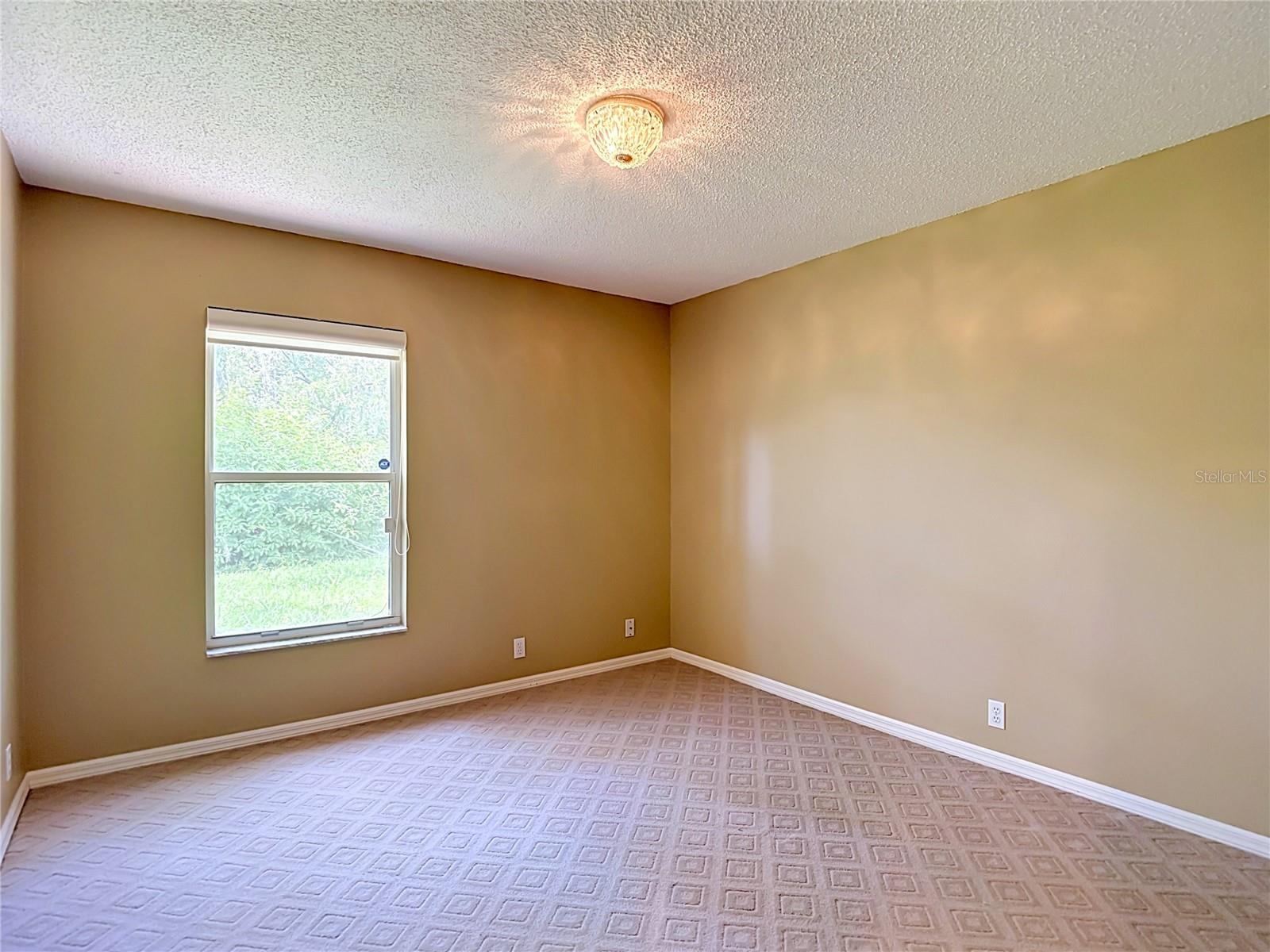 9433 WILDERNESS TRL, WEEKI WACHEE, FL — photo 24