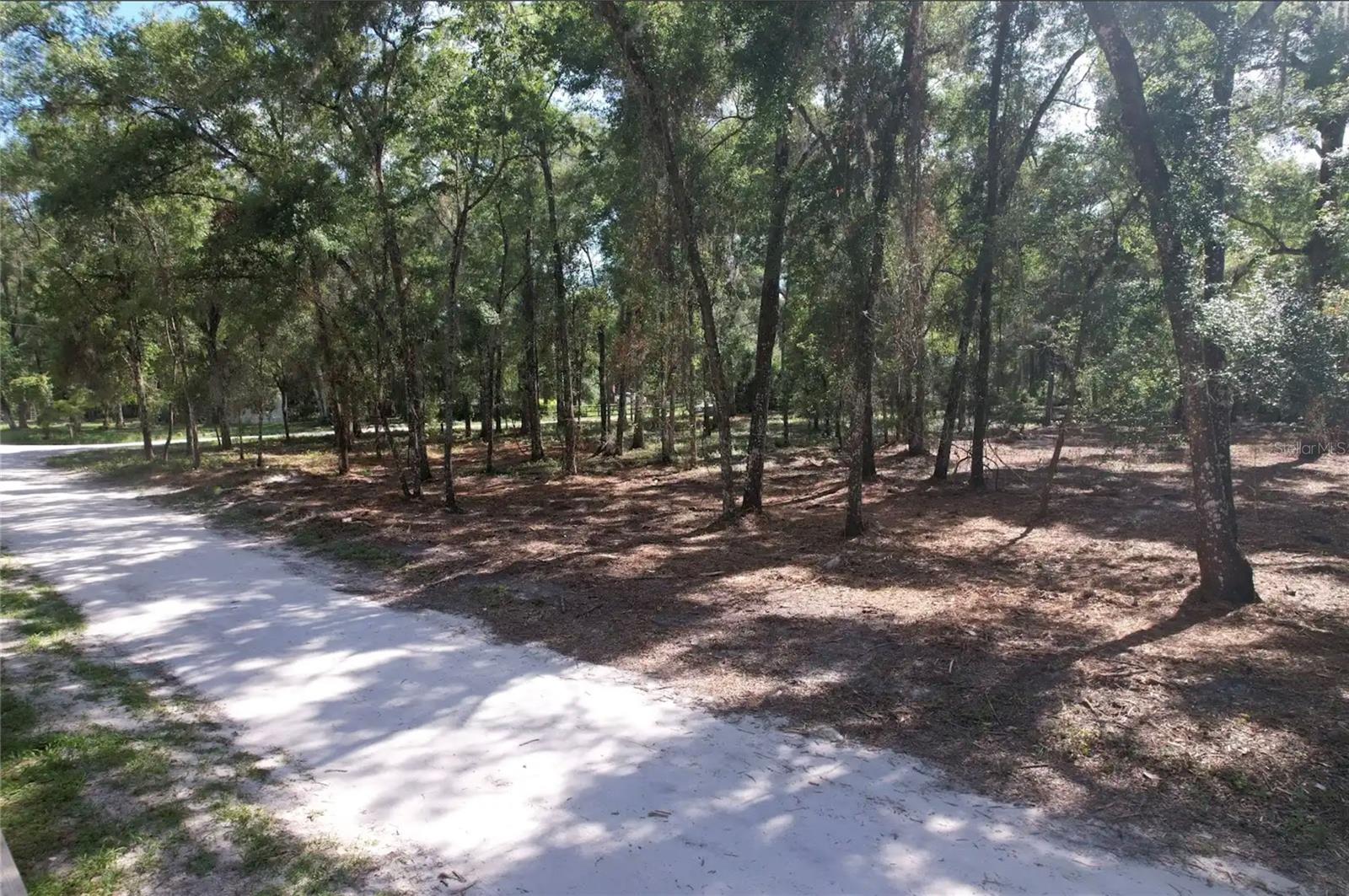17792 SE 30TH AVE, SUMMERFIELD, FL — photo 3