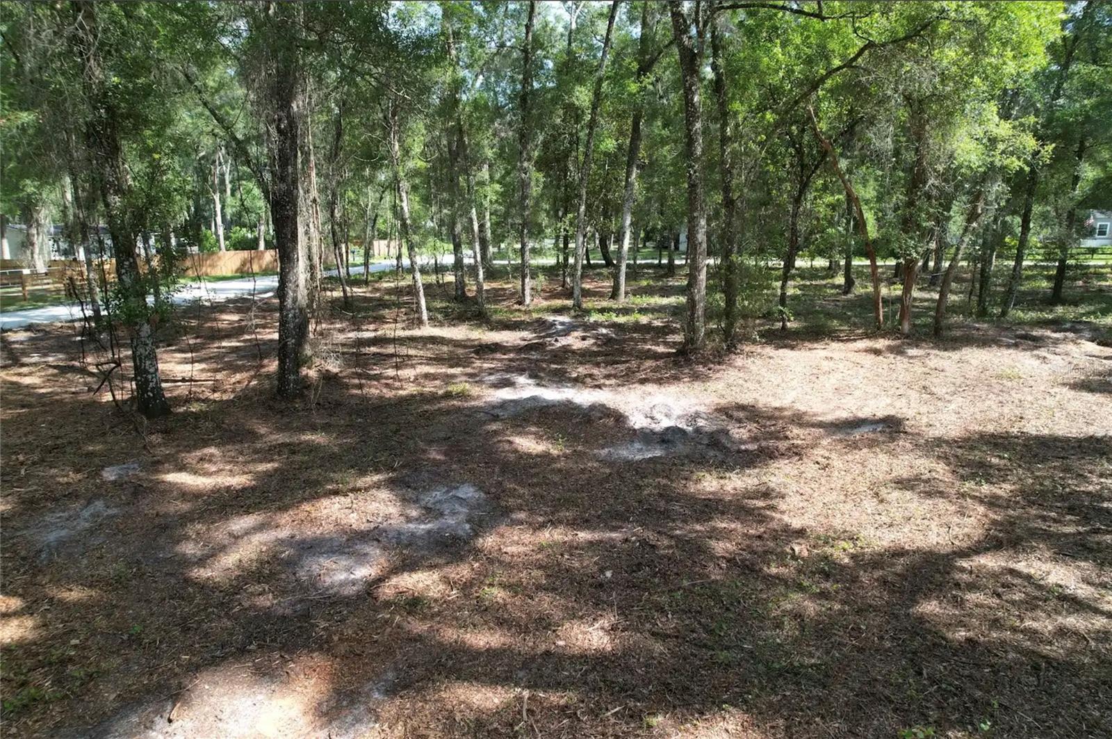 17792 SE 30TH AVE, SUMMERFIELD, FL — photo 5