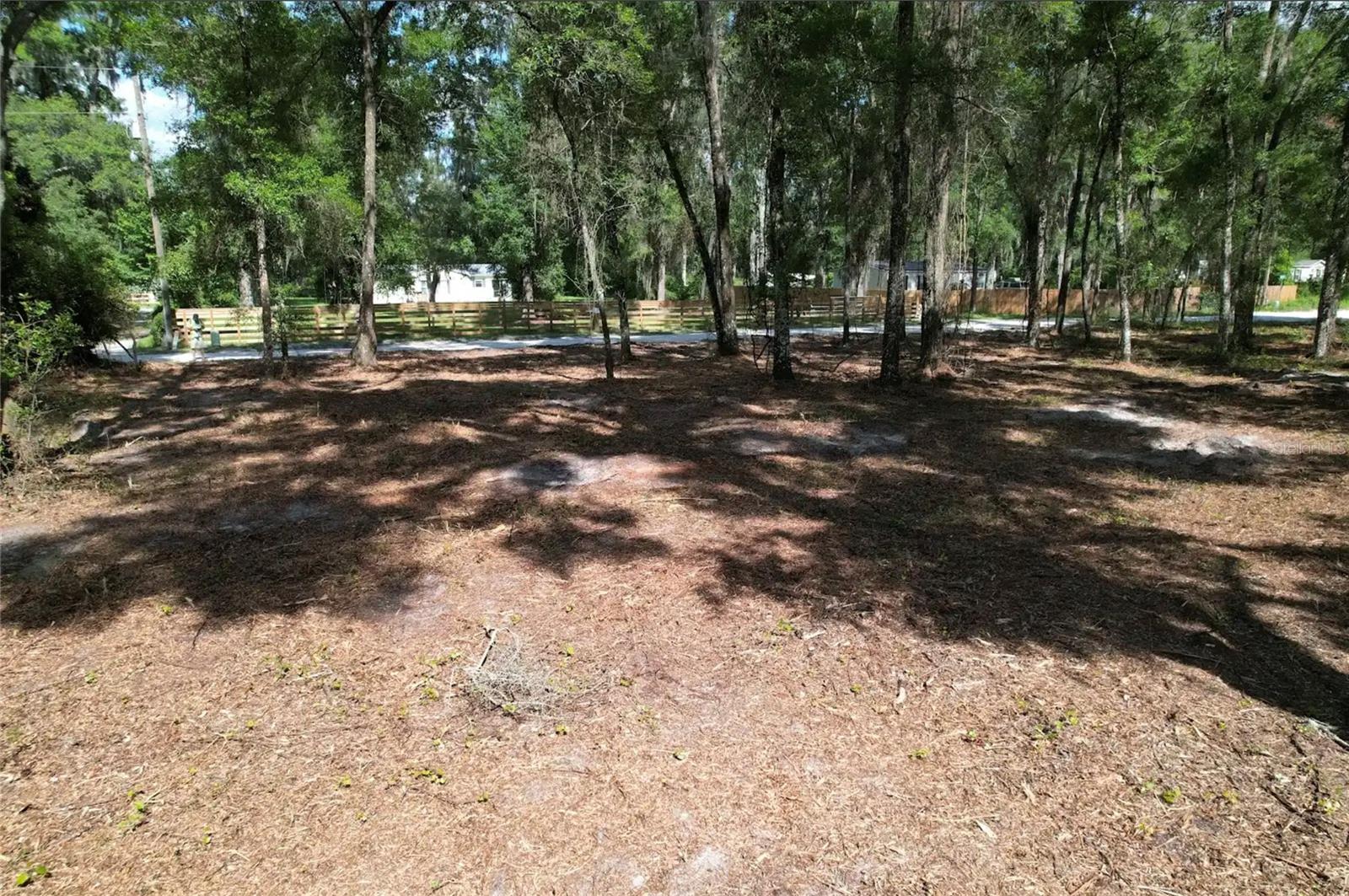 17792 SE 30TH AVE, SUMMERFIELD, FL — photo 6