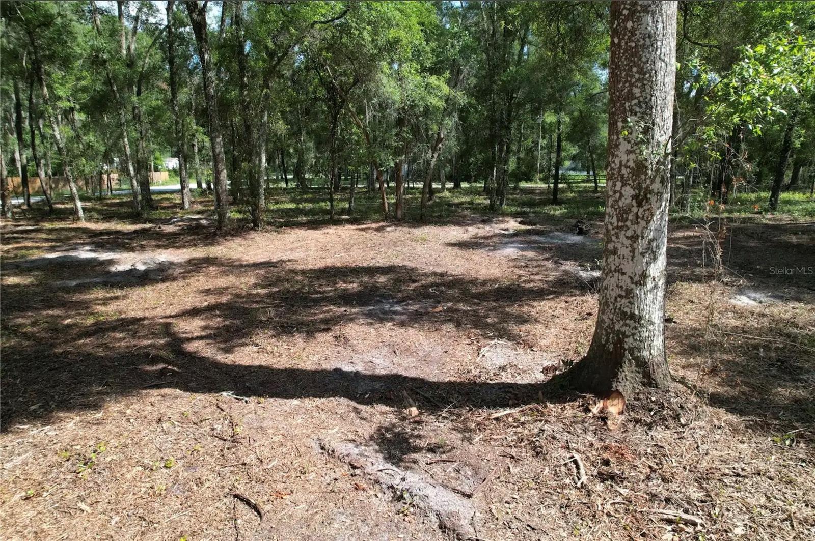 17792 SE 30TH AVE, SUMMERFIELD, FL — photo 9