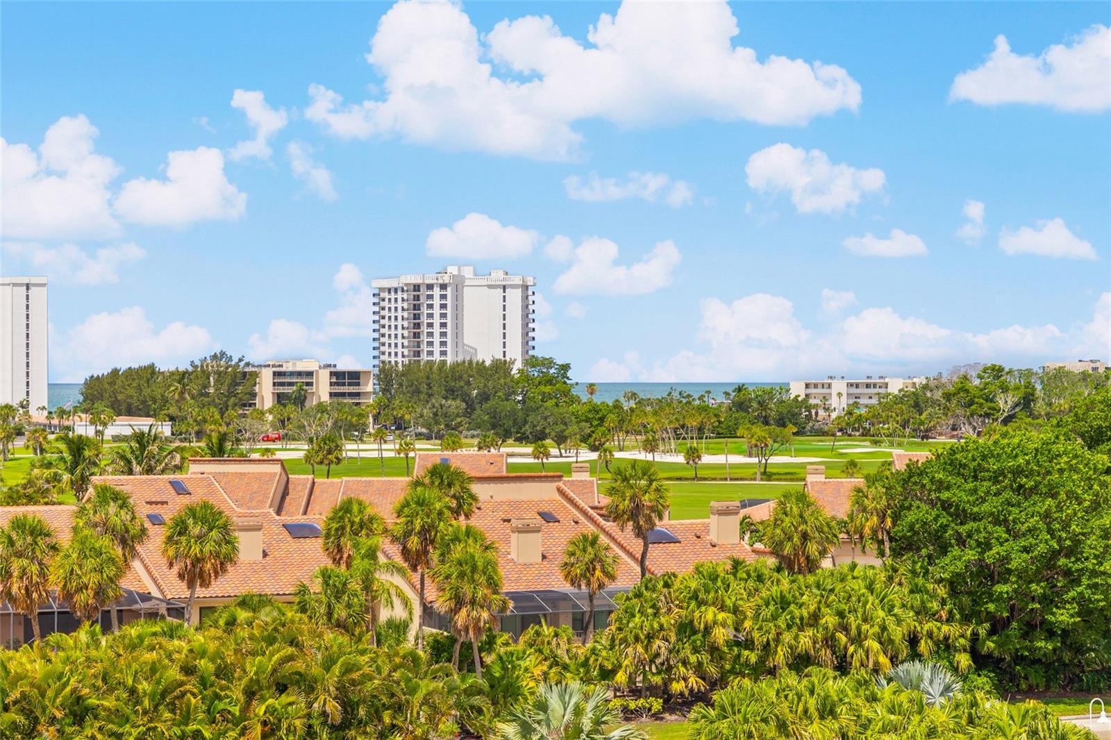 2450 HARBOURSIDE DR #244, LONGBOAT KEY, FL — photo 29