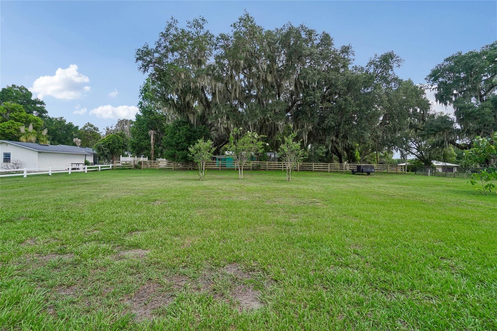 3934 CONNERSVILLE RD, BARTOW, FL — photo 56
