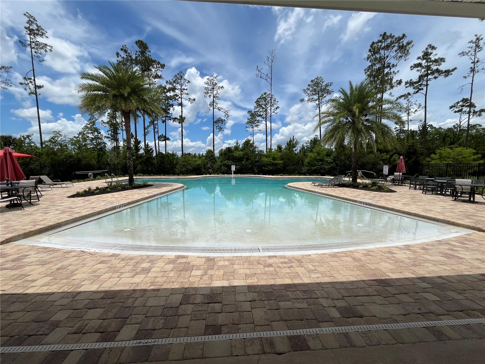 111 S HUMMINGBIRD PL, PALM COAST, FL — photo 53
