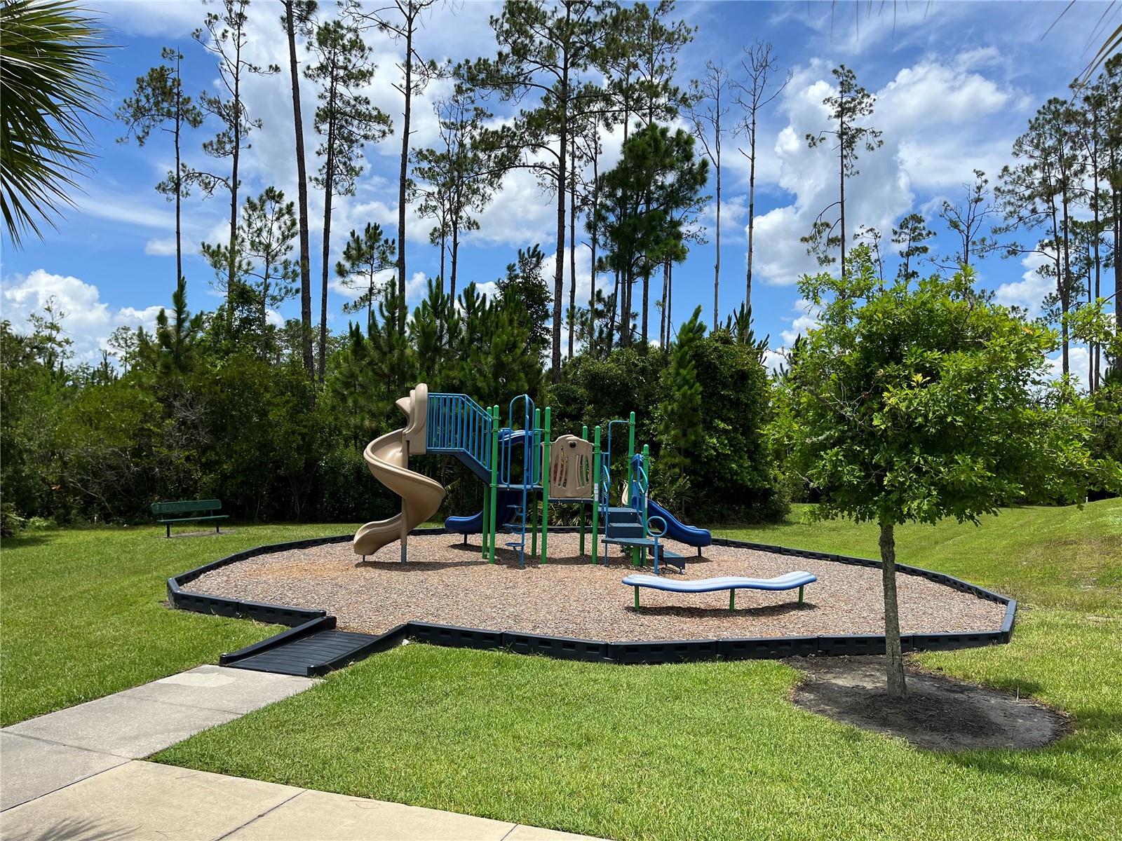 111 S HUMMINGBIRD PL, PALM COAST, FL — photo 58