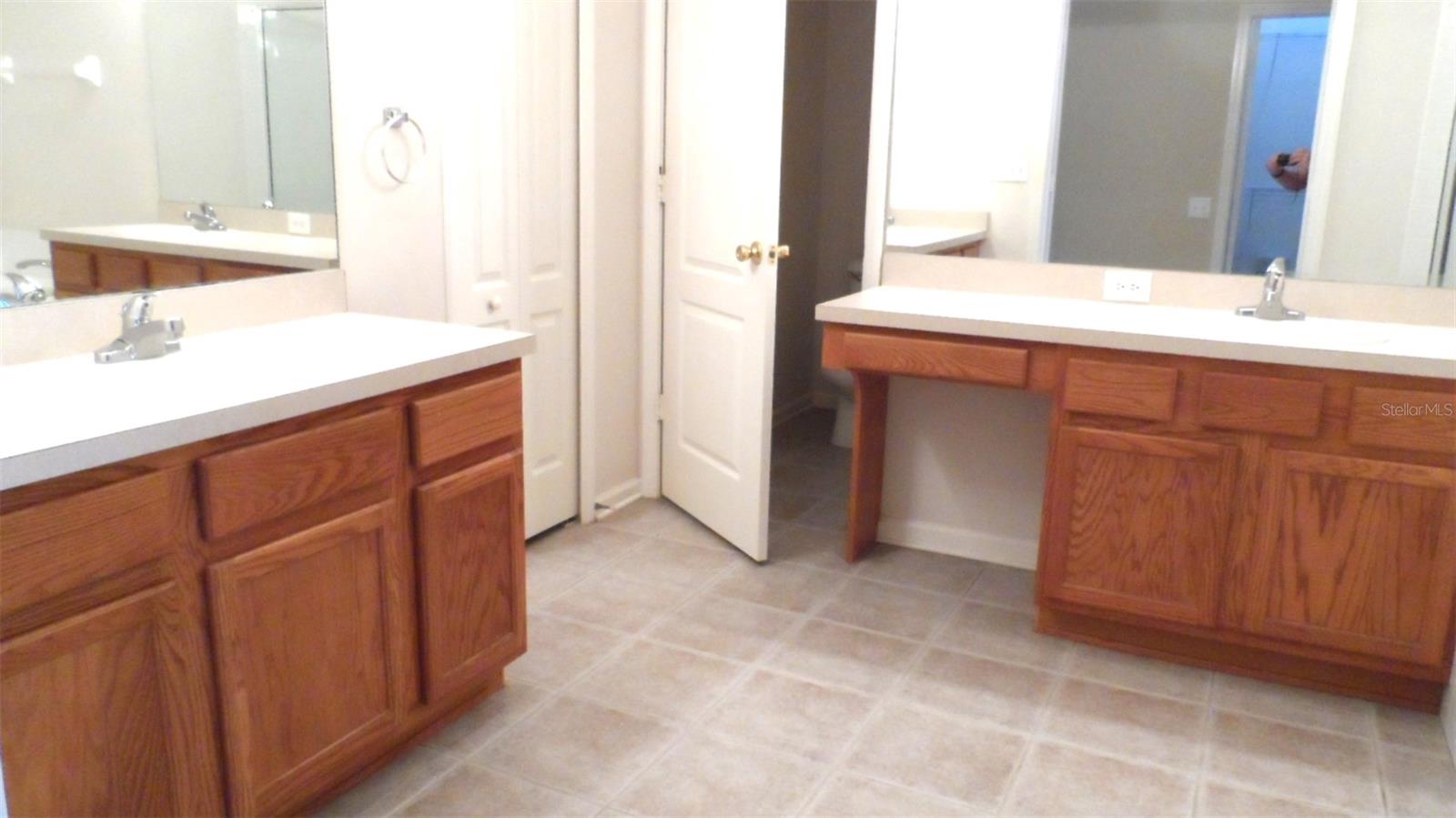 30709 LANESBOROUGH CIR, WESLEY CHAPEL, FL — photo 11