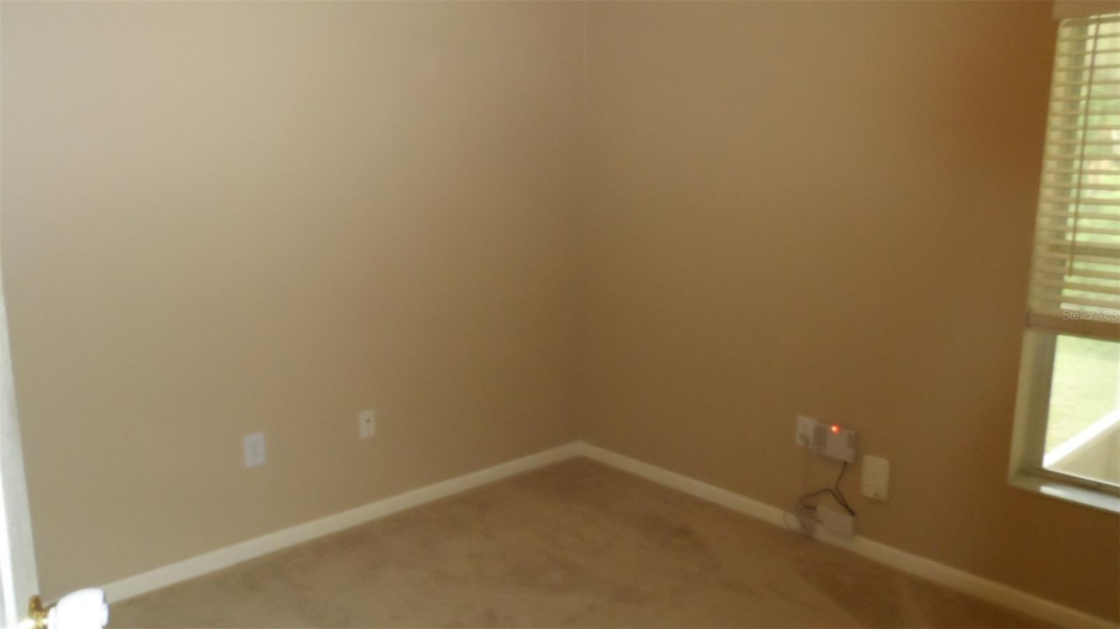 30709 LANESBOROUGH CIR, WESLEY CHAPEL, FL — photo 16