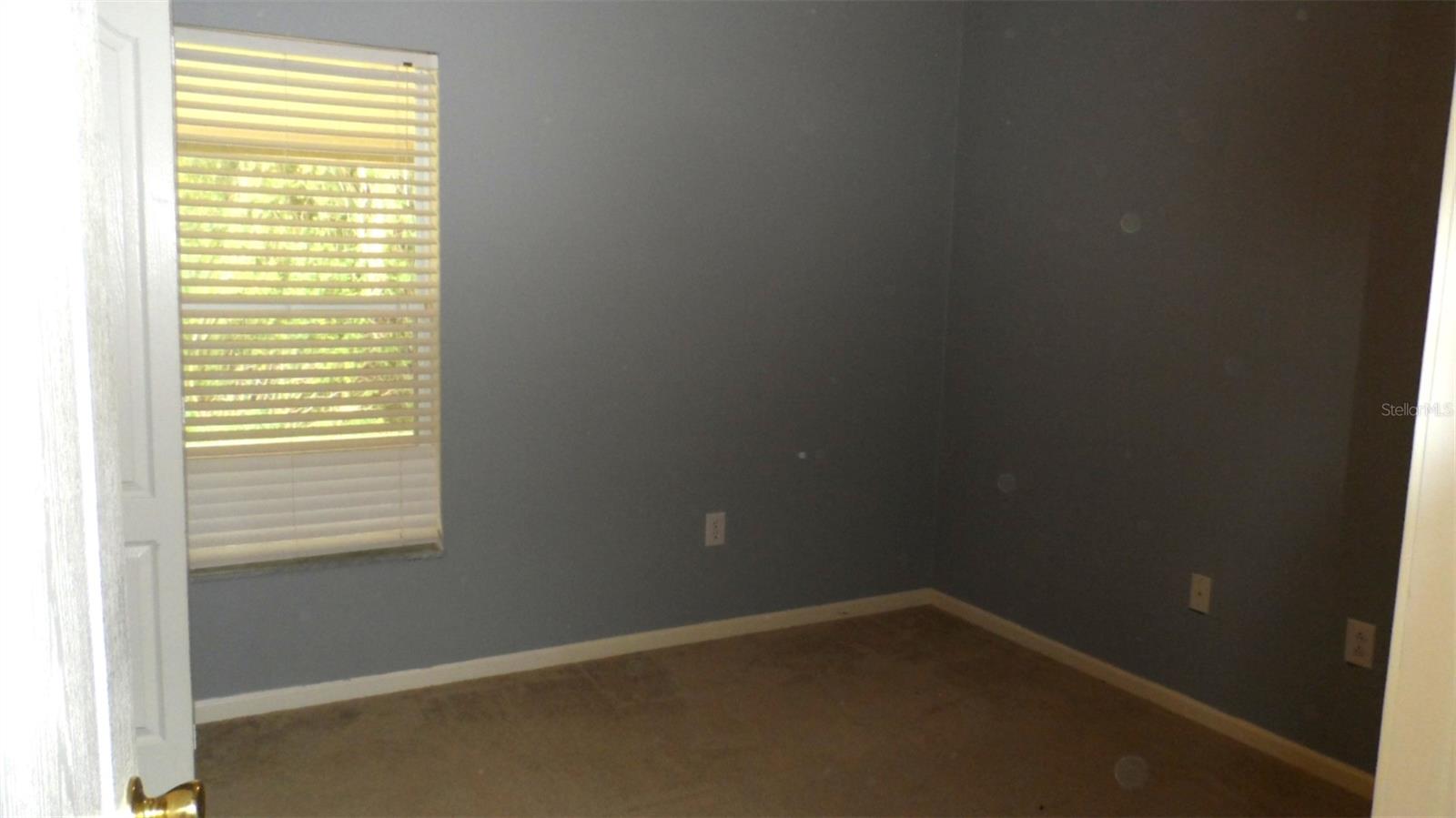 30709 LANESBOROUGH CIR, WESLEY CHAPEL, FL — photo 17