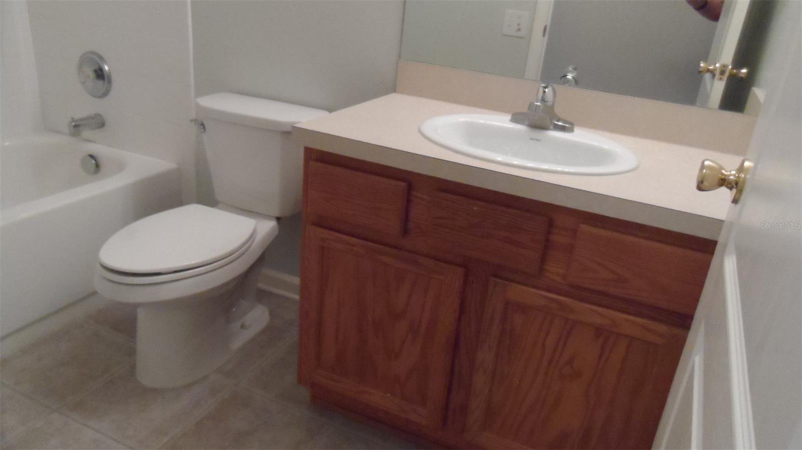 30709 LANESBOROUGH CIR, WESLEY CHAPEL, FL — photo 18