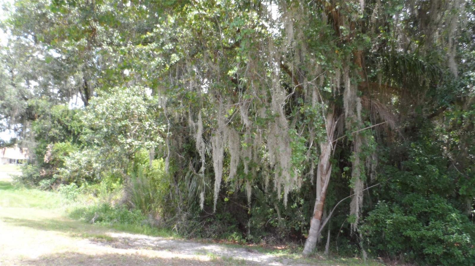 30709 LANESBOROUGH CIR, WESLEY CHAPEL, FL — photo 24