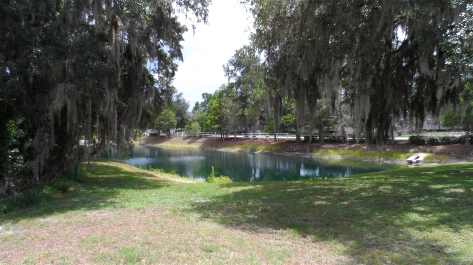 30709 LANESBOROUGH CIR, WESLEY CHAPEL, FL — photo 25