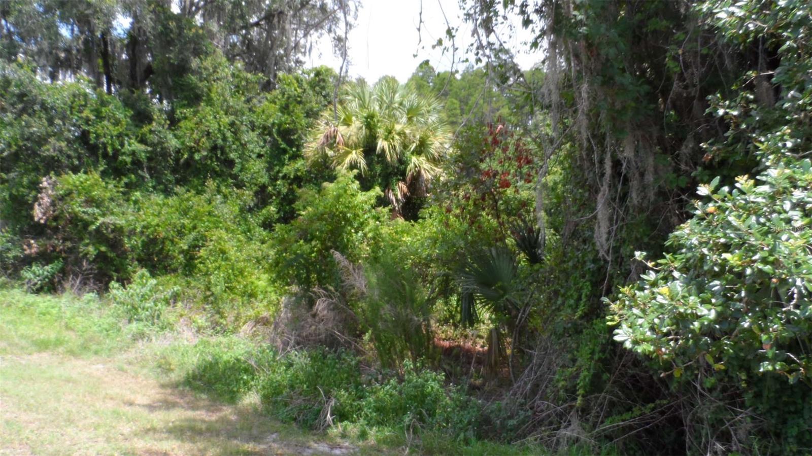30709 LANESBOROUGH CIR, WESLEY CHAPEL, FL — photo 26