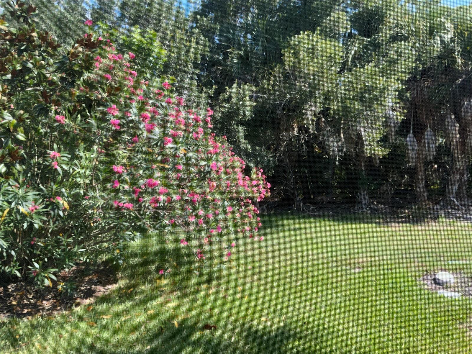 8004 CAMMINARE DR, SARASOTA, FL — photo 5