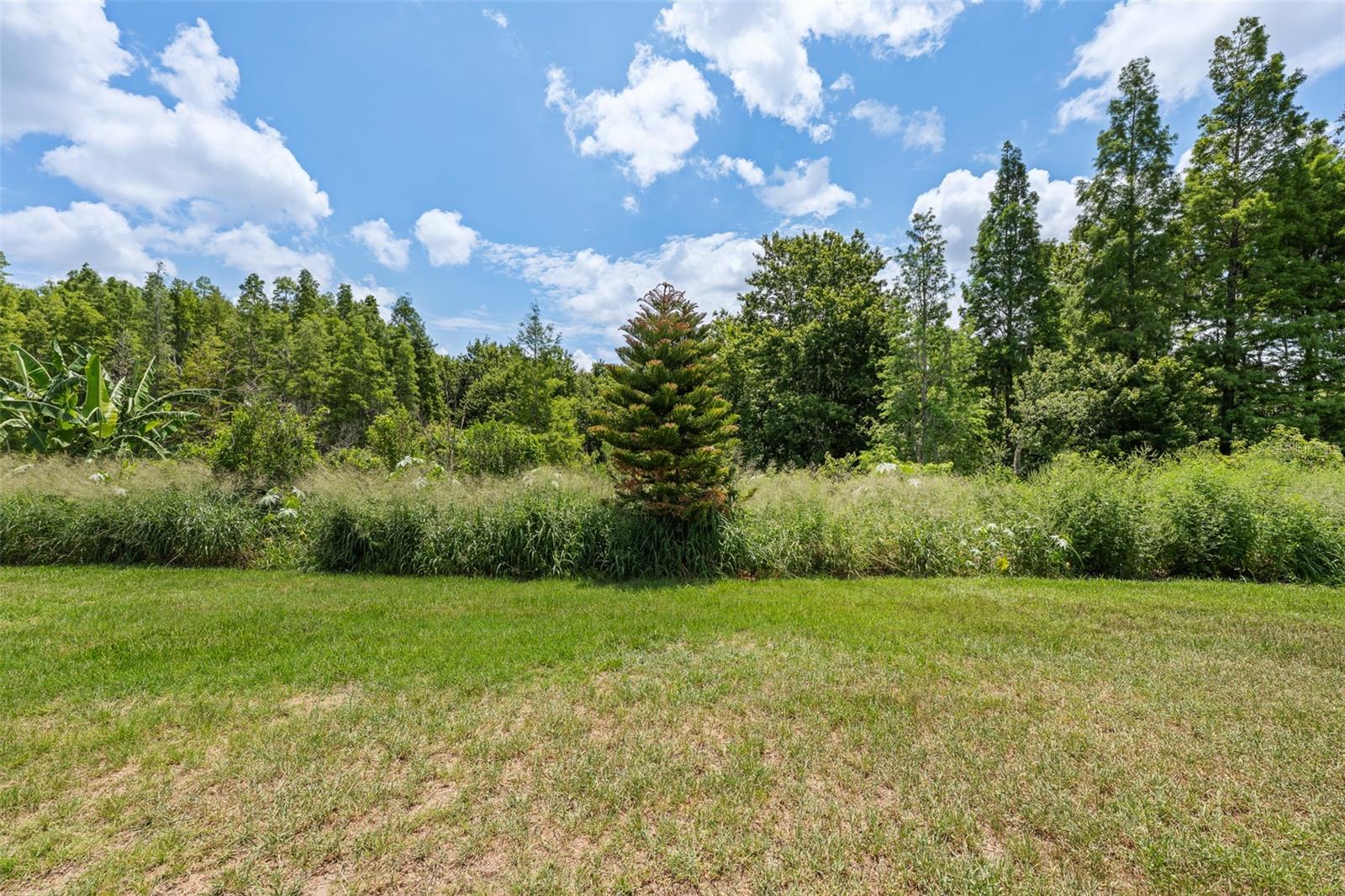 2212 LANDSIDE DR, VALRICO, FL — photo 42