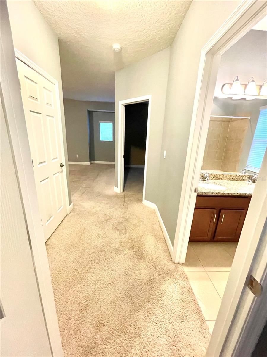 21648 SOUTHERN CHARM DR, LAND O LAKES, FL — photo 19