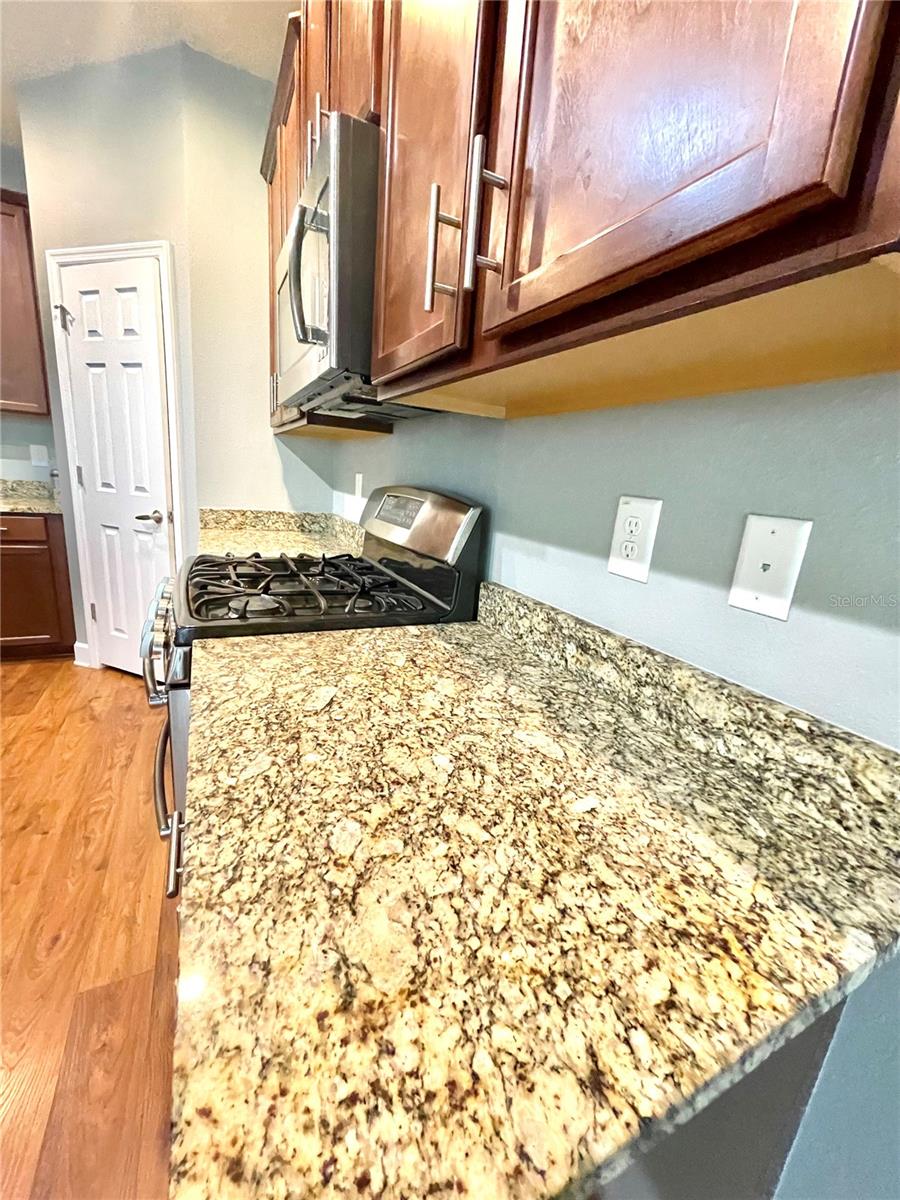 21648 SOUTHERN CHARM DR, LAND O LAKES, FL — photo 80