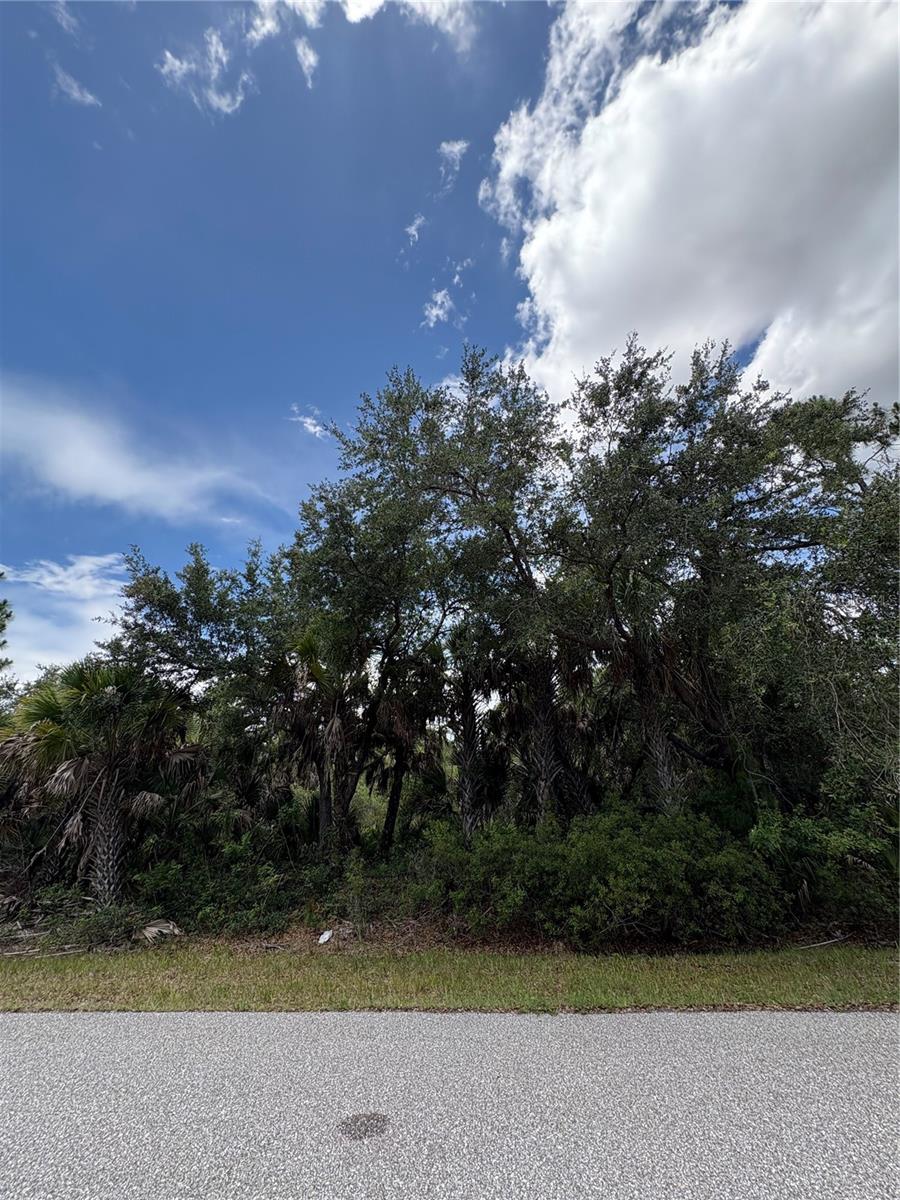 17403 GALAHAD AVE, PORT CHARLOTTE, FL — photo 3