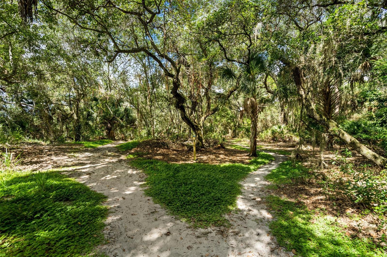 2911 WOODPINE CT, SARASOTA, FL — photo 59