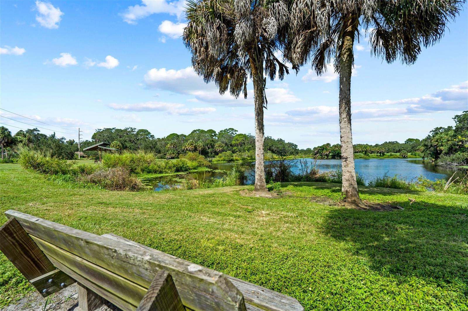 2911 WOODPINE CT, SARASOTA, FL — photo 61