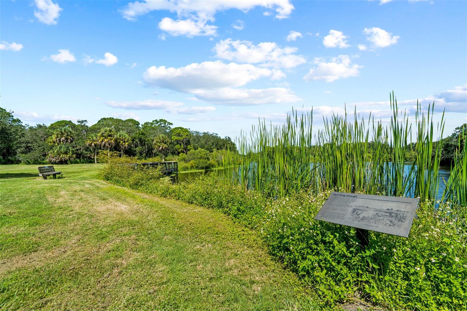 2911 WOODPINE CT, SARASOTA, FL — photo 65
