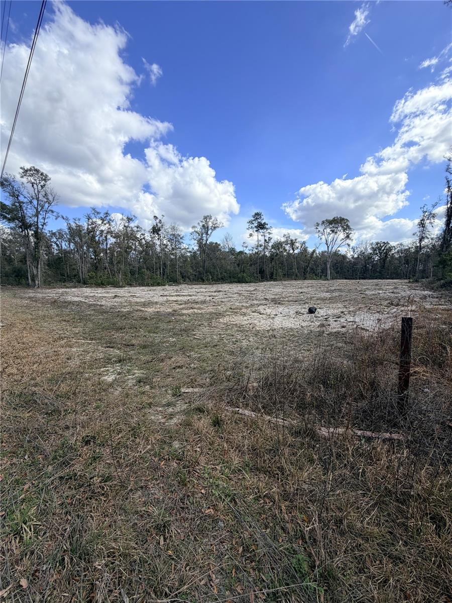 163 NE 159TH AVE, OLD TOWN, FL — photo 2