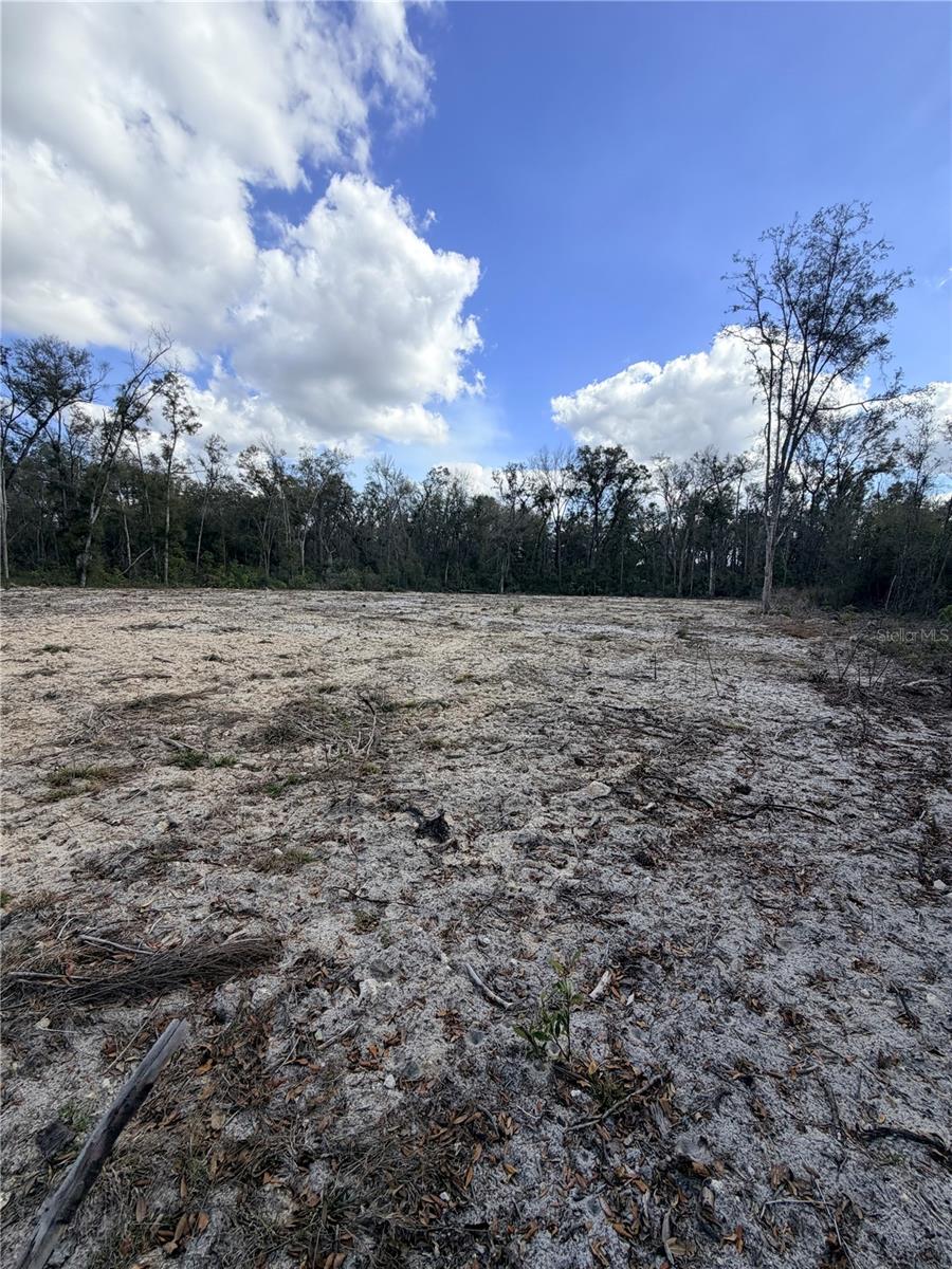 163 NE 159TH AVE, OLD TOWN, FL — photo 3