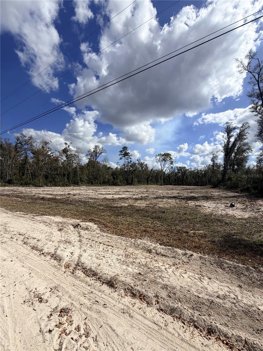 163 NE 159TH AVE, OLD TOWN, FL — photo 9