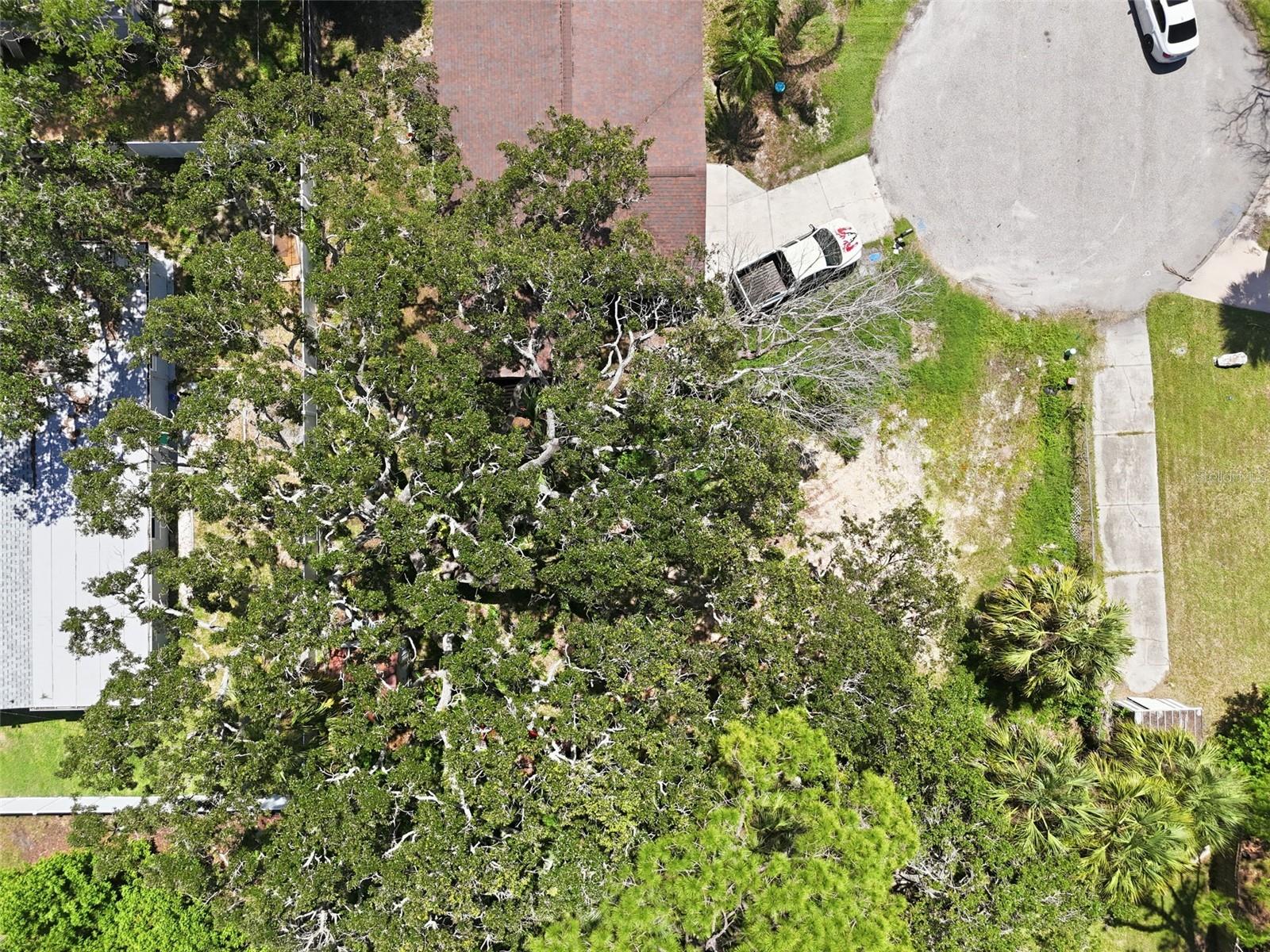 4925 AMHERST CT, NEW PORT RICHEY, FL — photo 3