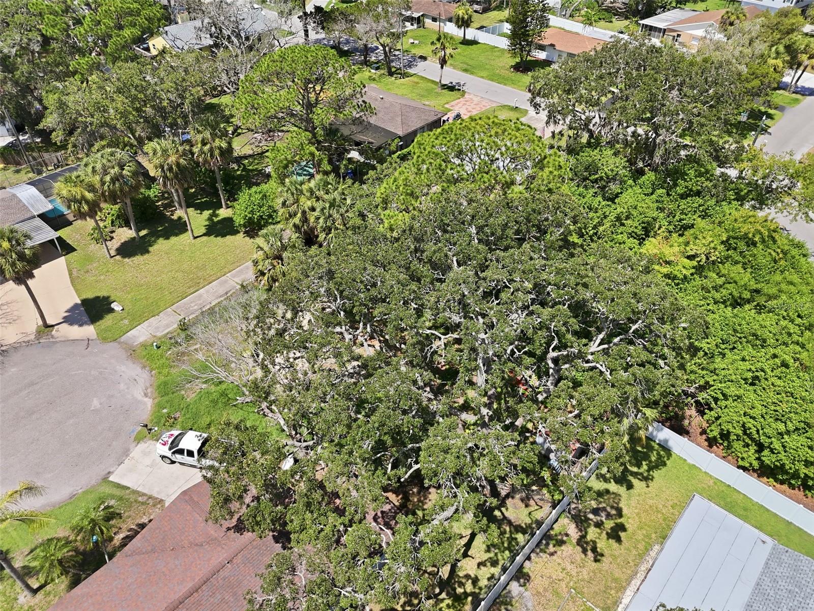 4925 AMHERST CT, NEW PORT RICHEY, FL — photo 4