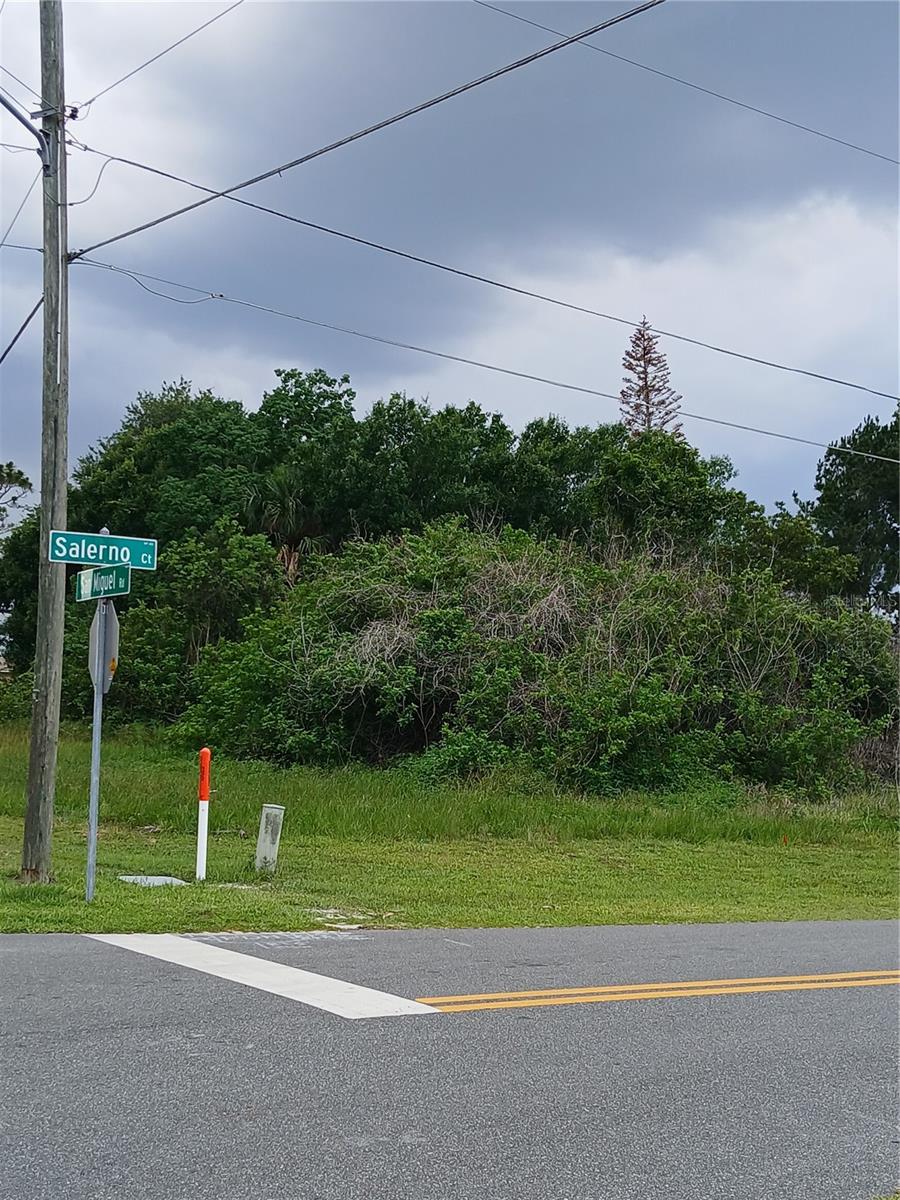 900 SALERNO CT, KISSIMMEE, FL — photo 2