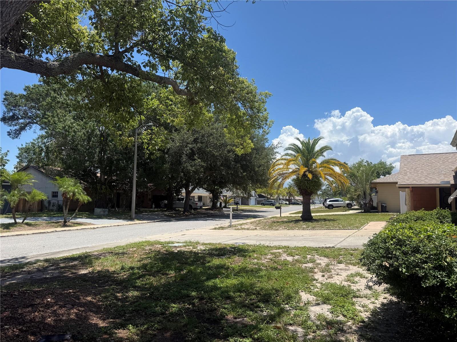 4238 PINEFIELD AVE, HOLIDAY, FL — photo 42