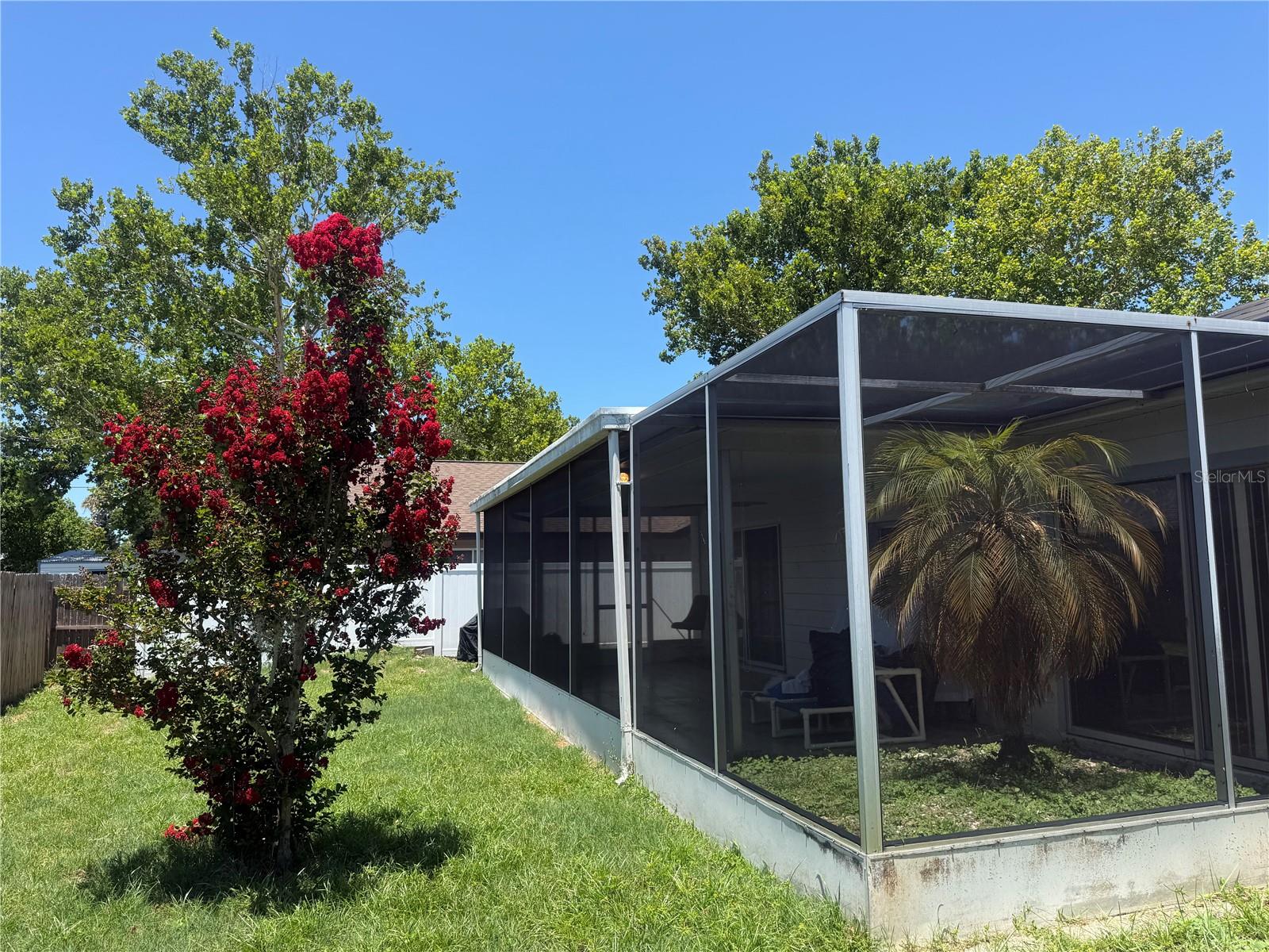 4238 PINEFIELD AVE, HOLIDAY, FL — photo 52
