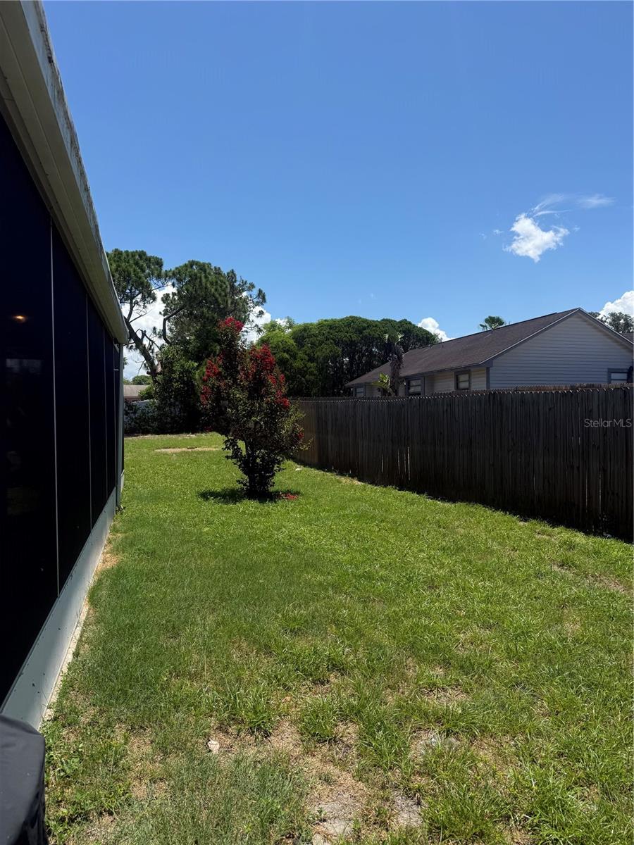 4238 PINEFIELD AVE, HOLIDAY, FL — photo 55