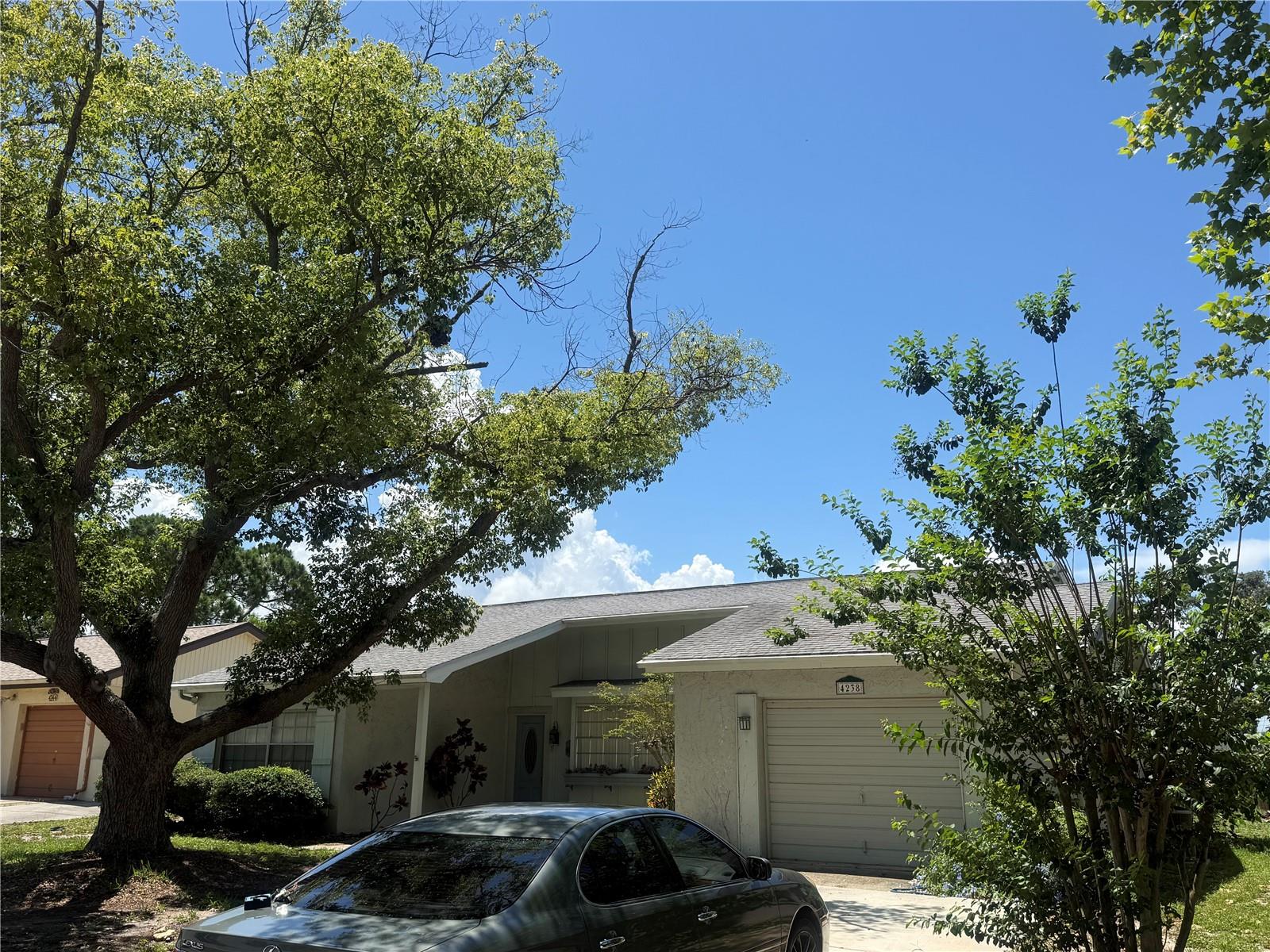 4238 PINEFIELD AVE, HOLIDAY, FL — photo 57