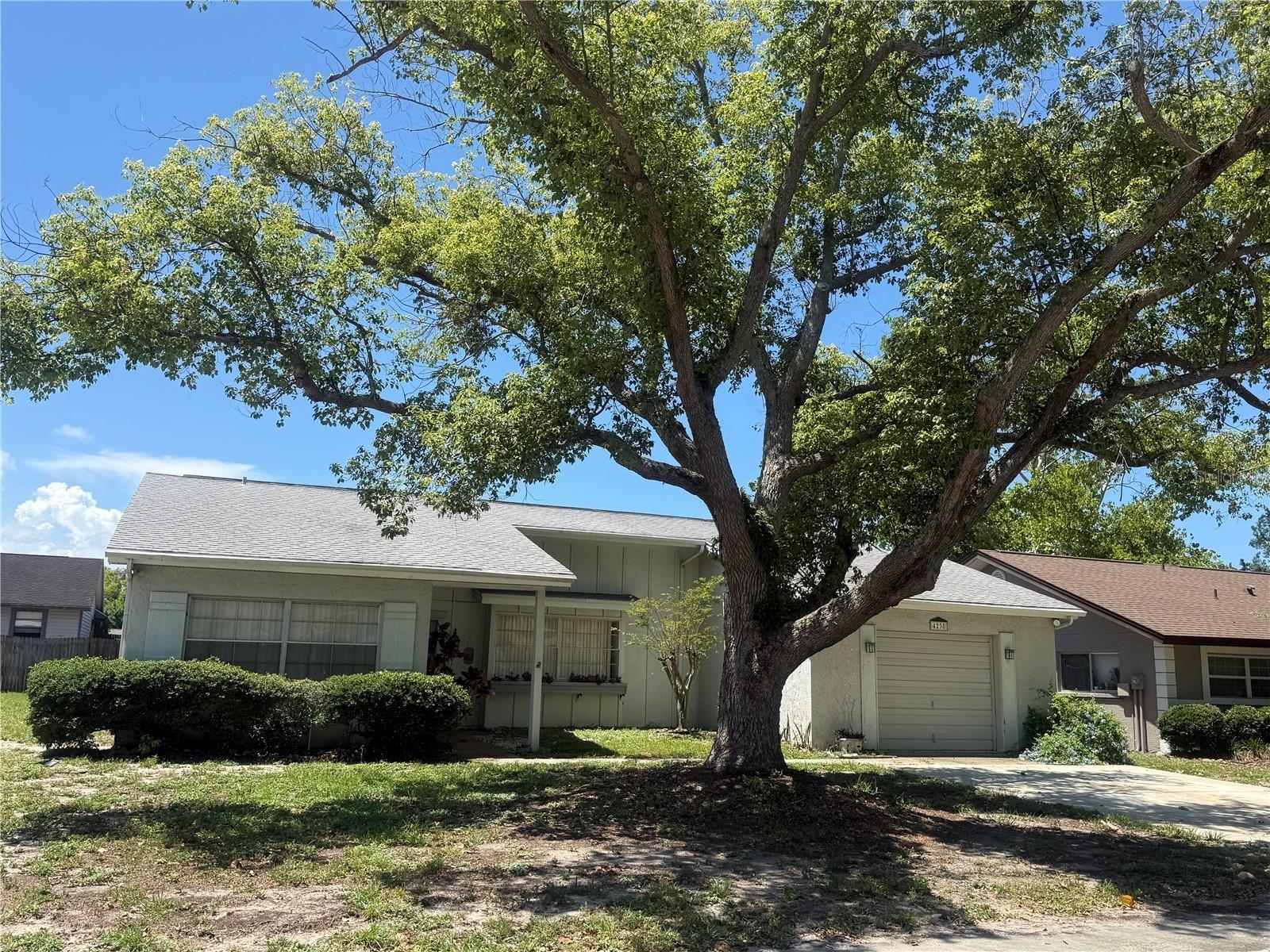 4238 PINEFIELD AVE, HOLIDAY, FL — photo 63