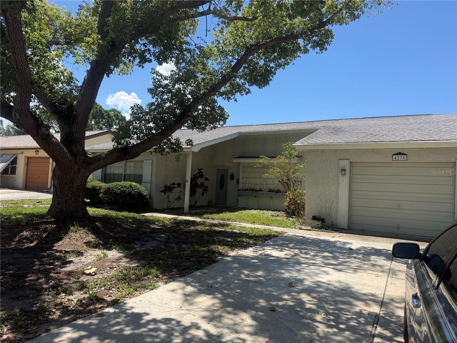 4238 PINEFIELD AVE, HOLIDAY, FL — photo 64