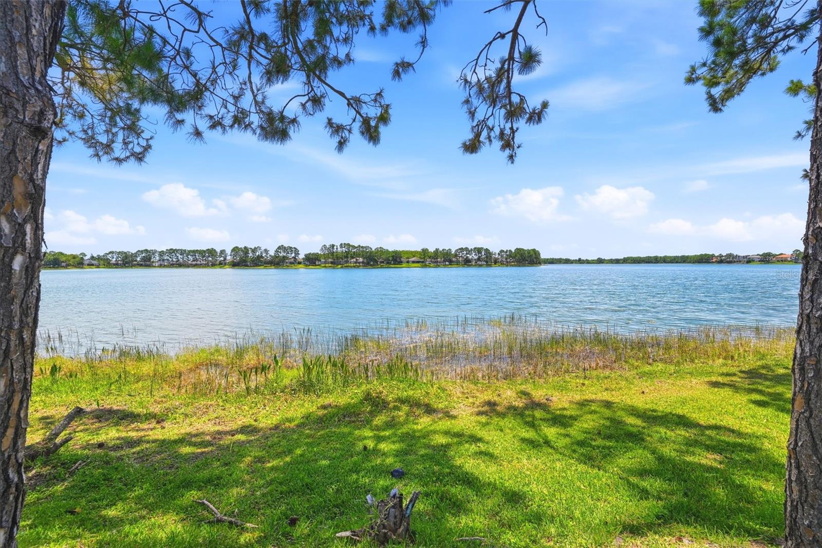 14620 CABLESHIRE WAY, ORLANDO, FL