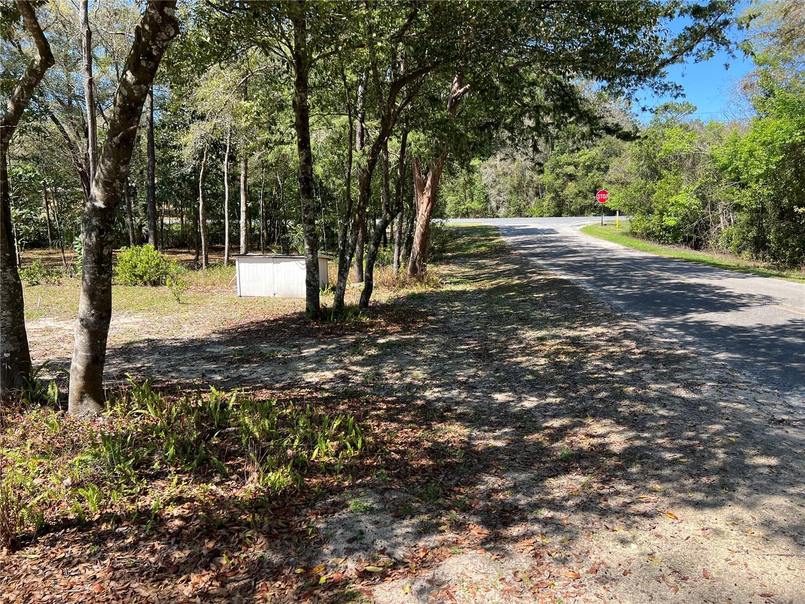 15926 NE 13TH ST, WILLISTON, FL — photo 4