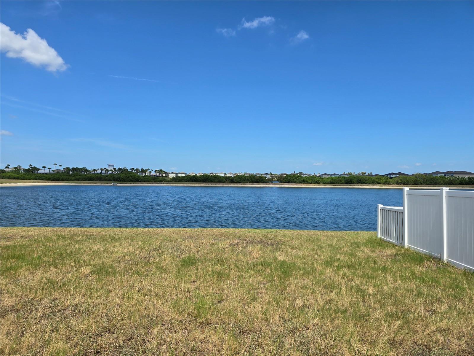 838 OLIVE CONCH ST, RUSKIN, FL — photo 11