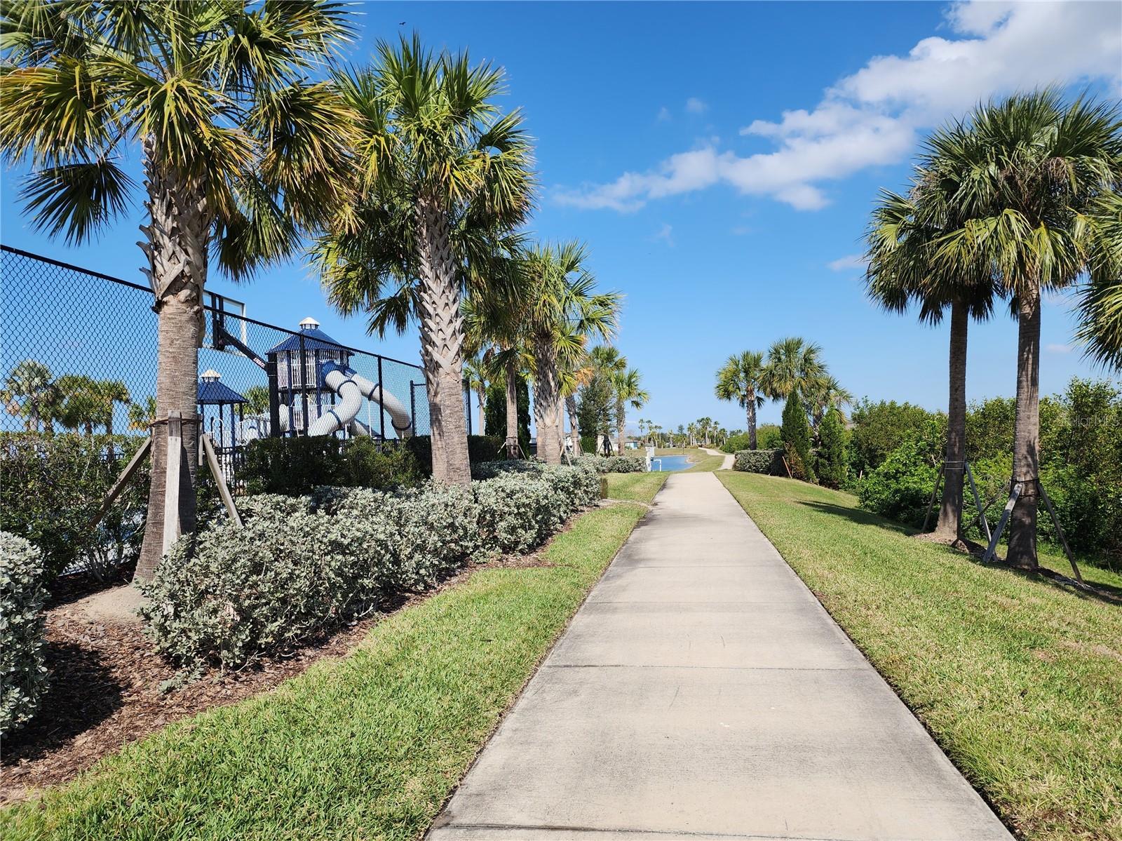 838 OLIVE CONCH ST, RUSKIN, FL — photo 19