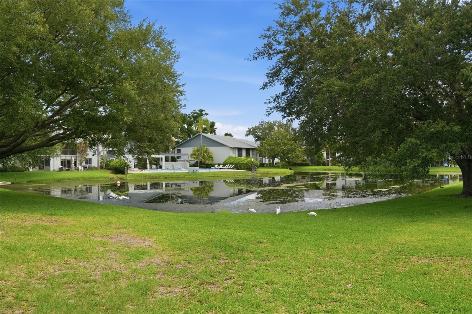 11201 122ND AVE #116, LARGO, FL — photo 28
