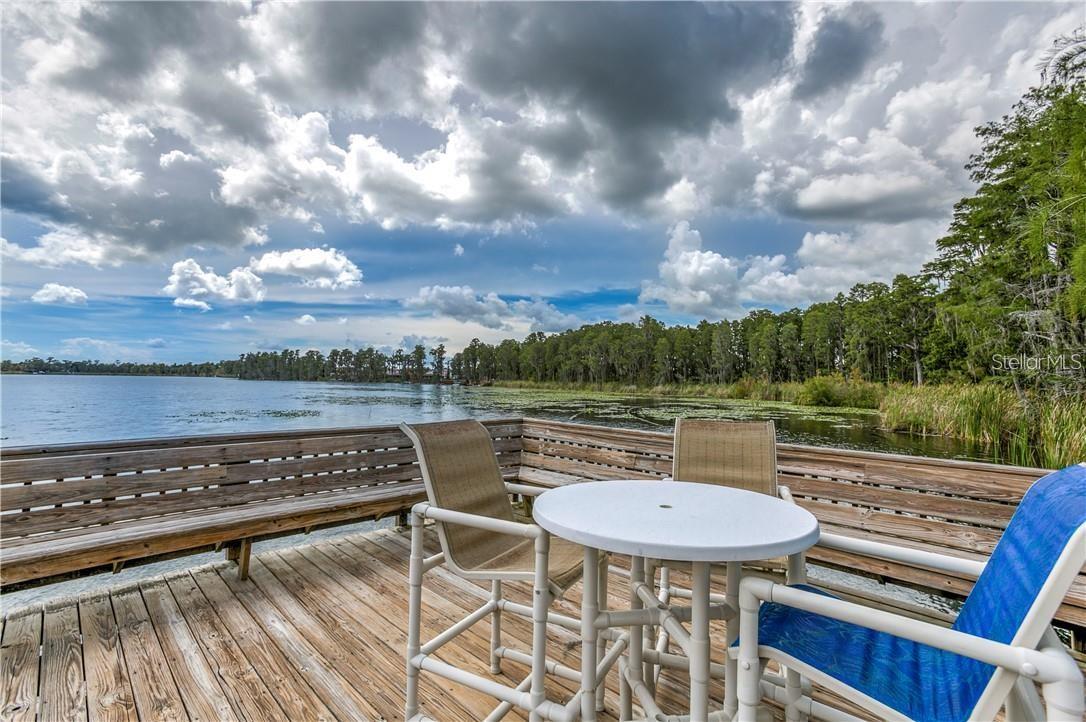 11646 CASTINE ST, NEW PORT RICHEY, FL — photo 33