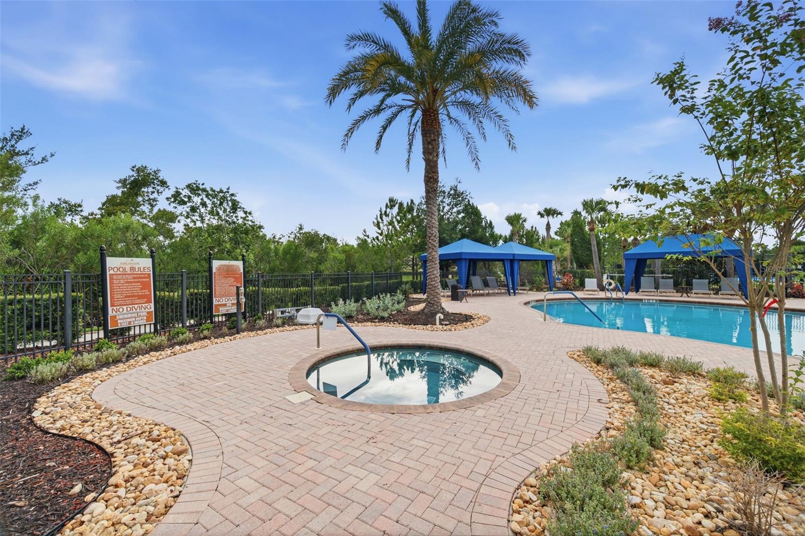 20117 UMBRIA HILL DR, TAMPA, FL — photo 59